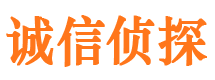 阜南市侦探公司